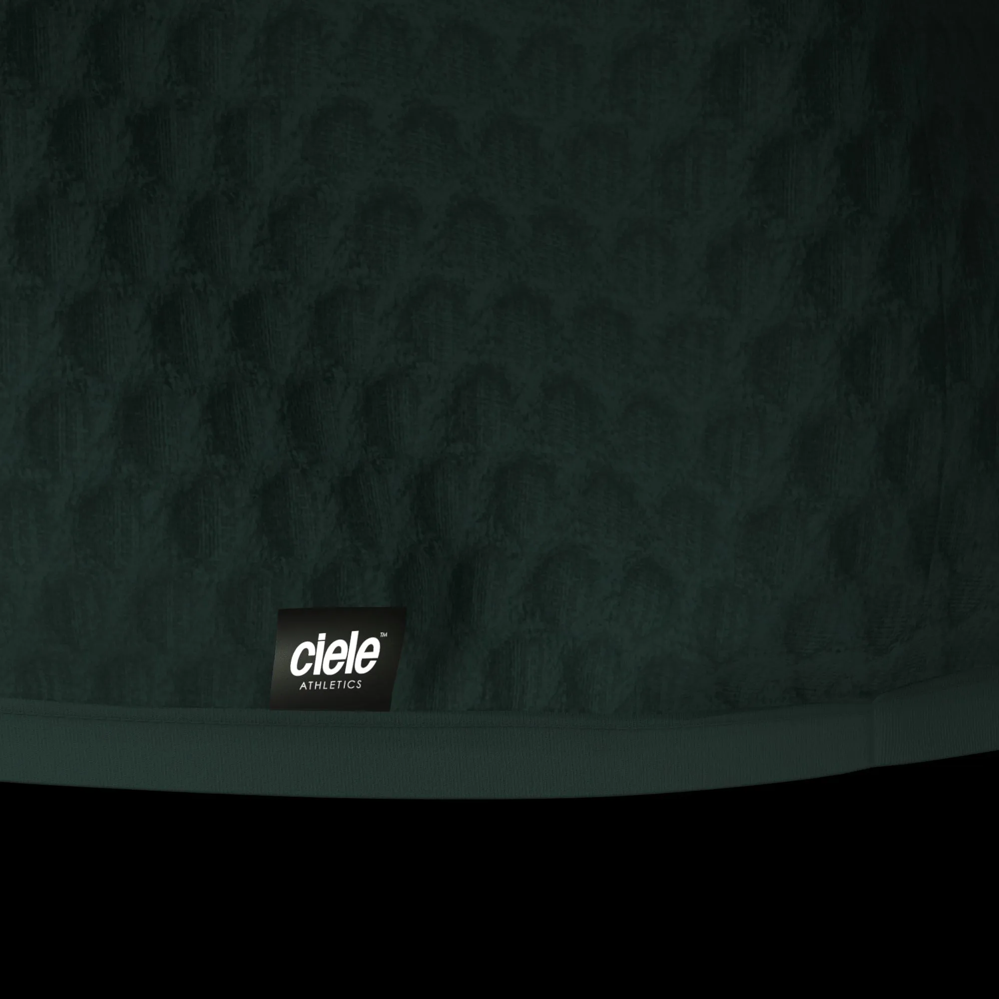 ciele athletics VLVHalfzip (Men's)
