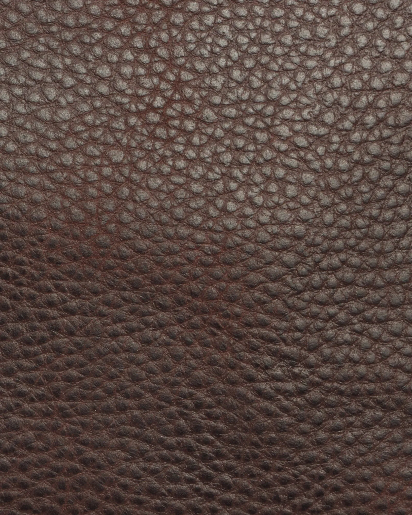 Wall Street Slim Laptop Bag- Cinnamon Brown